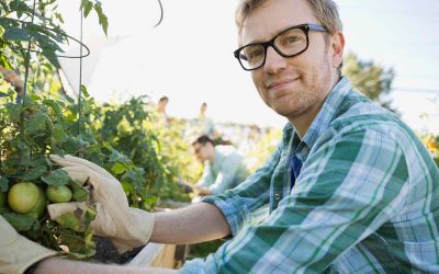Consejos para consumir alimentos de forma saludable y sostenible